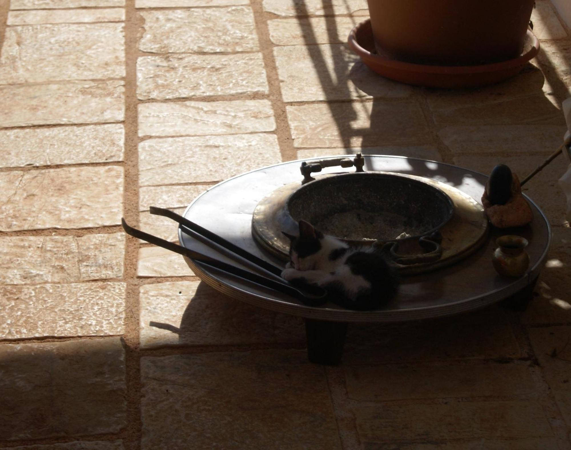 Holiday home Trullo Casa Surya