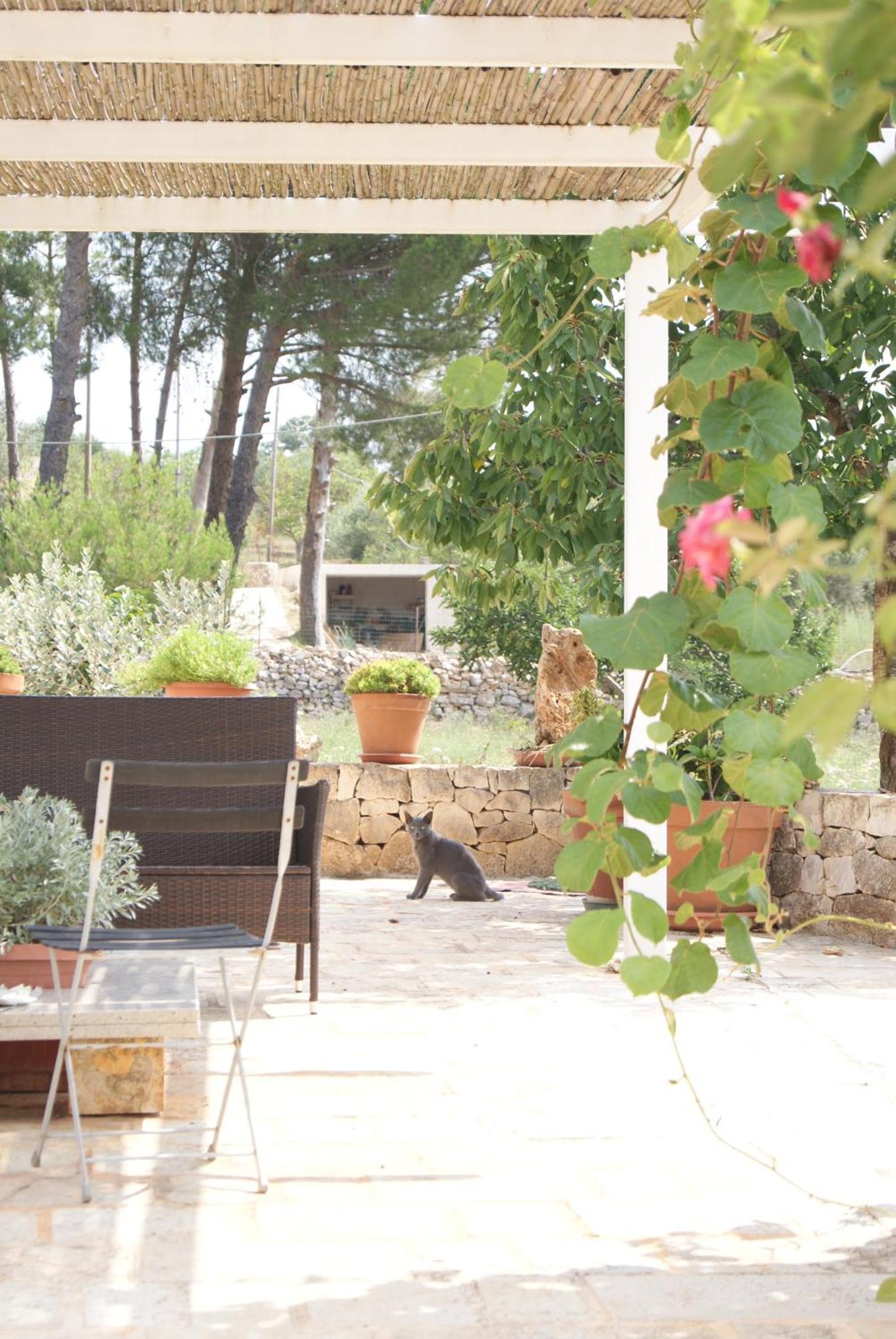 Trullo Casa Surya *